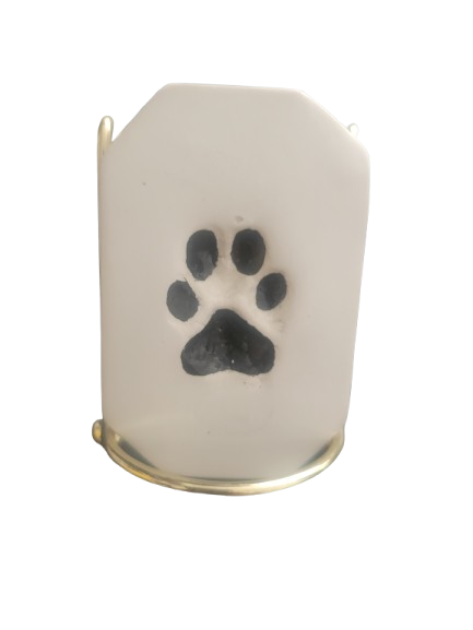 <h3>Paw Print in Clay&nbsp;</h3>