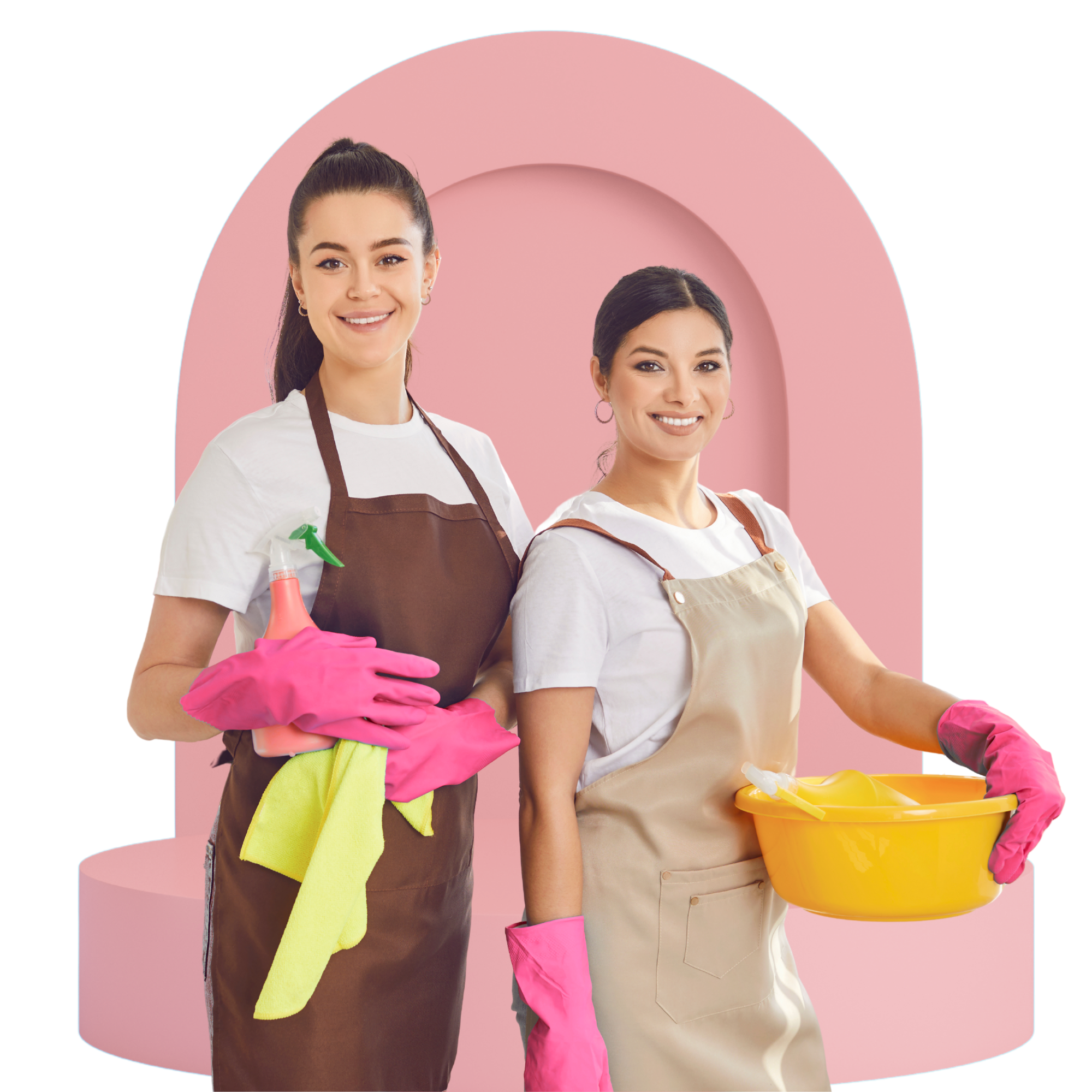 Cleaning professional