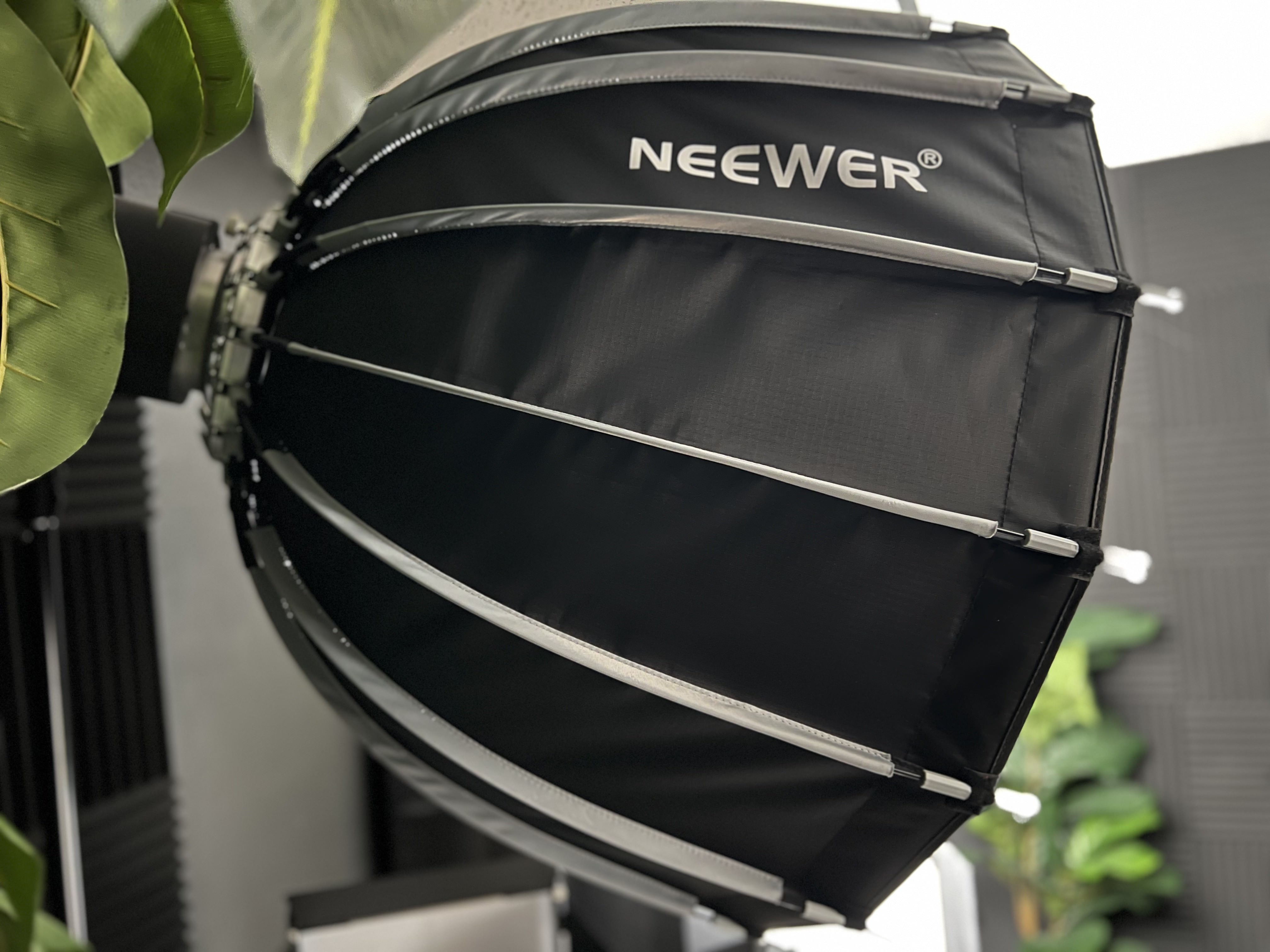 2× professional monolights