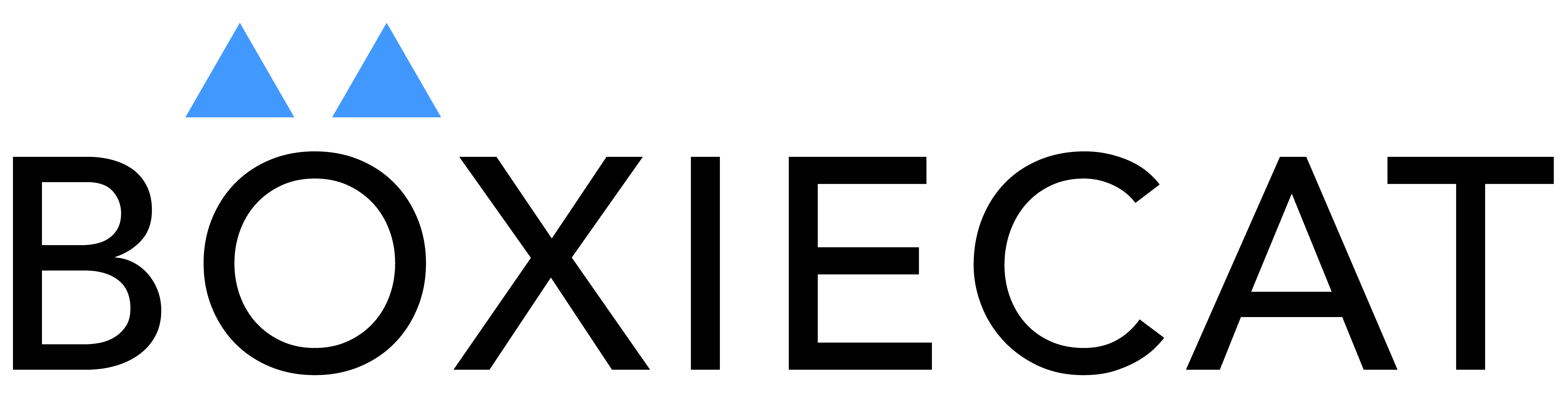 BoxieCat