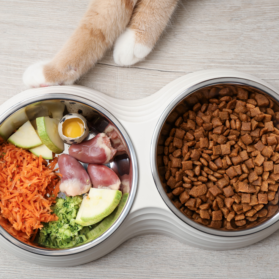  Raw Feeding Guide for Cats & Dogs: The Holistic Pet Parent’s Complete Beginner Guide