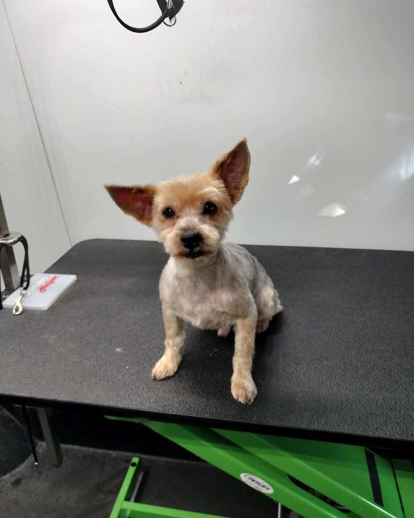 Customer