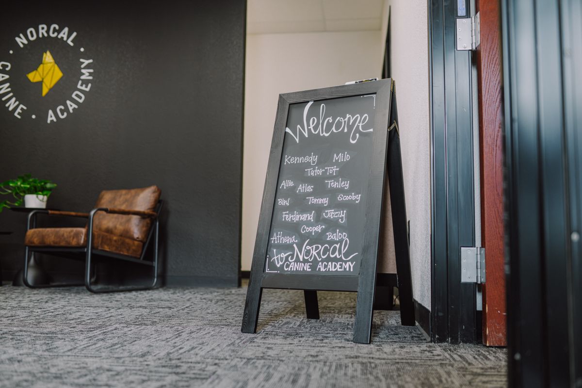 The welcome board by the door, written up for the week's arrivals