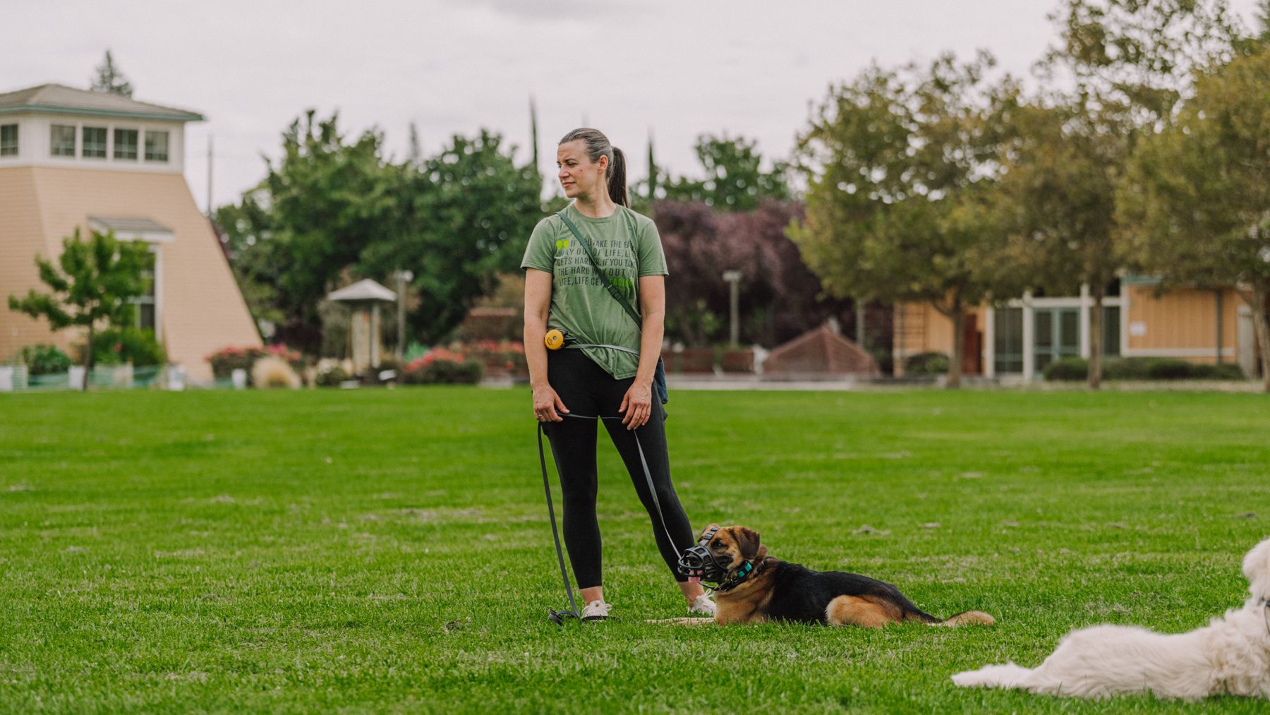 A trainer standing in a Sacramento park with a muzzled shepherd lying calmly at her feet