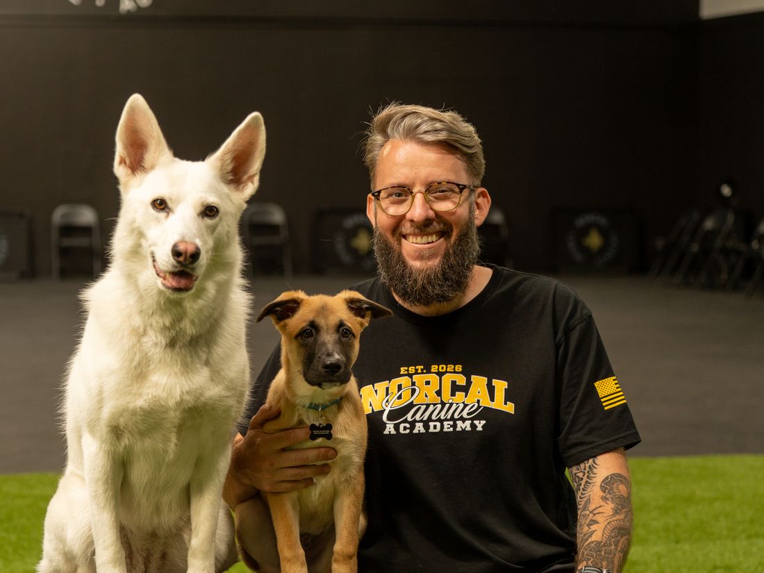Tanner at the academy with his white shepherd and a malinois puppy