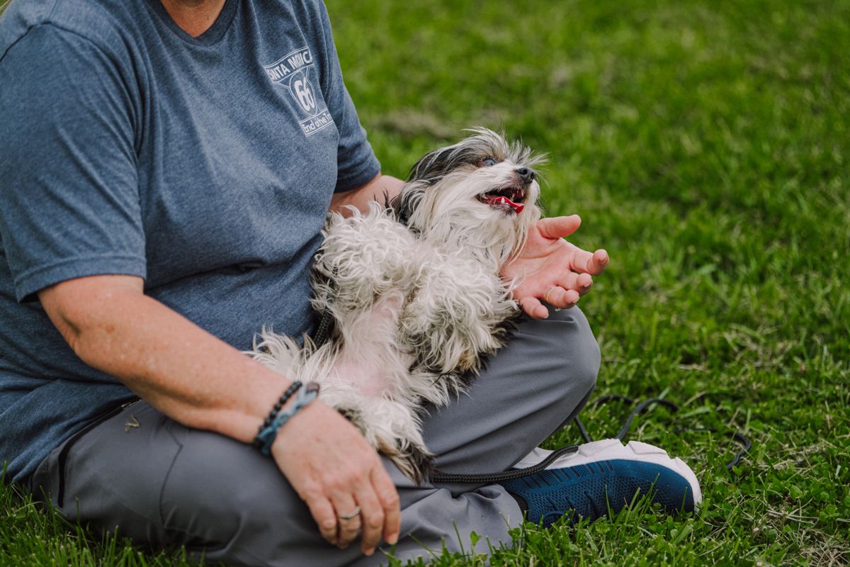 An owner sitting on the grass with a scruffy dog leaning into her