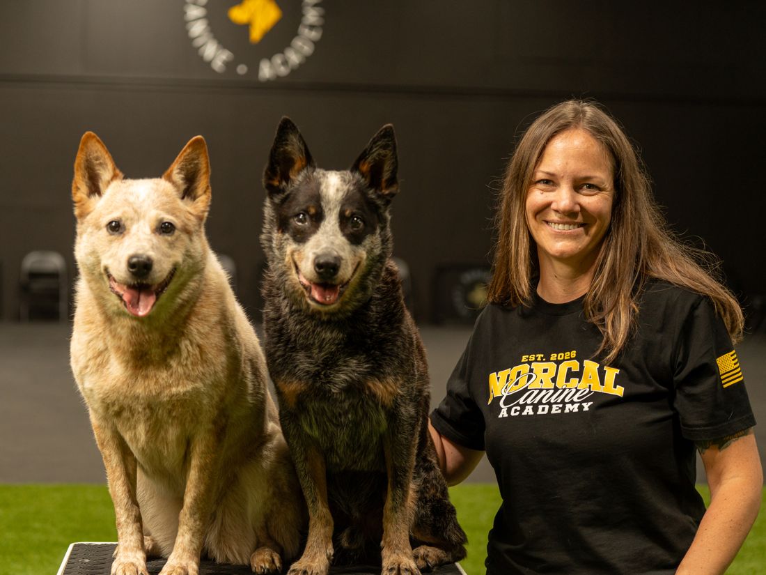 Kristin at the academy with her two cattle dogs sitting on a platform