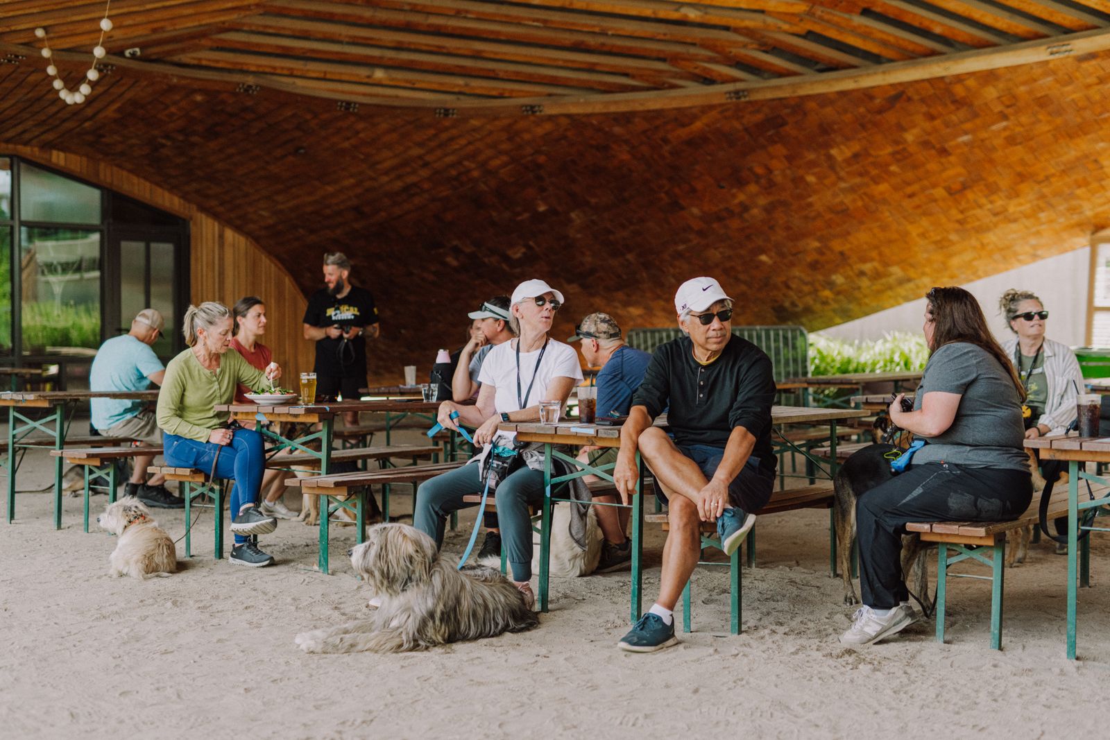 The whole class at a brewery on Friday, dogs settled on the floor under the benches