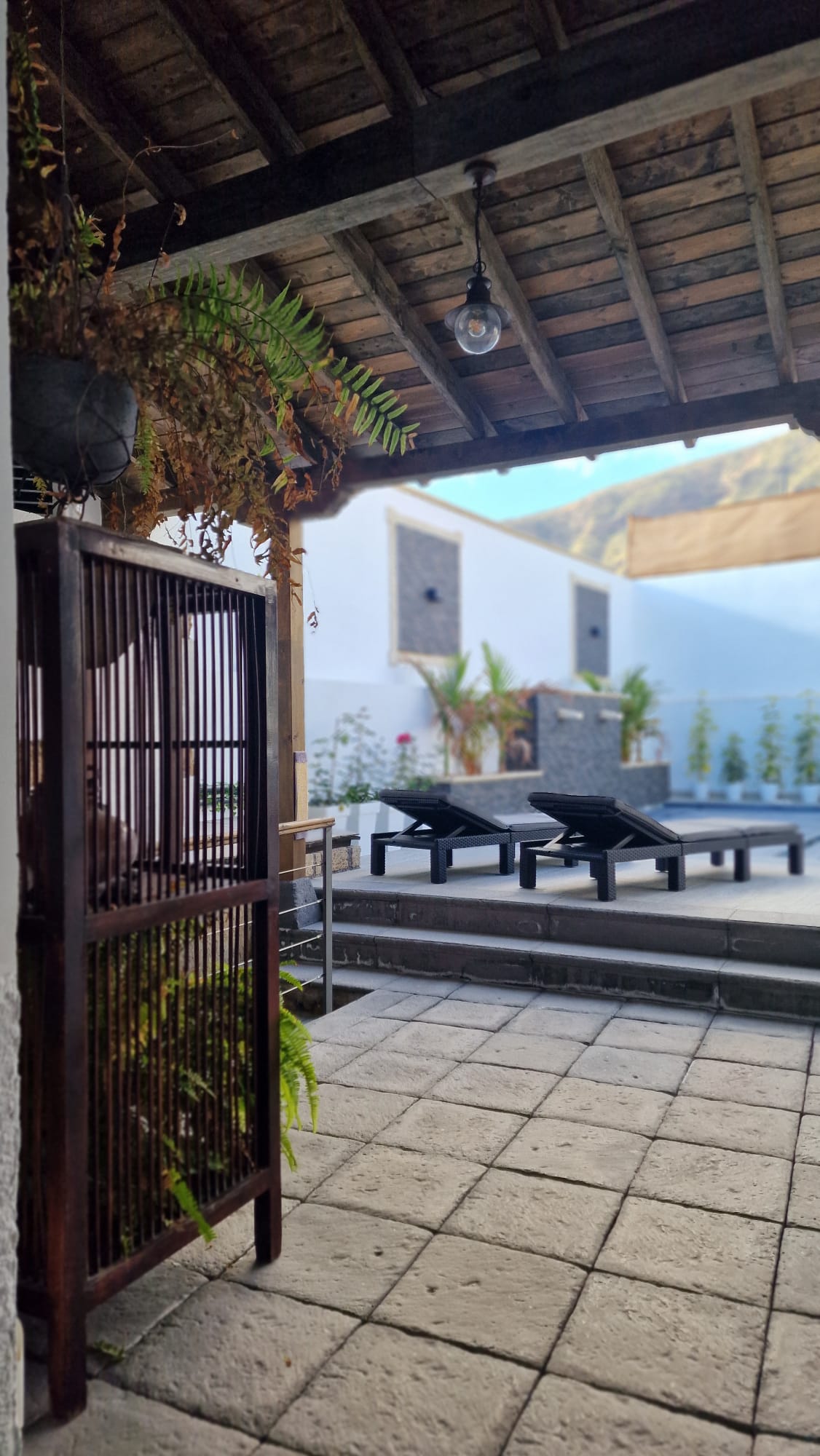 Tenerife Nature