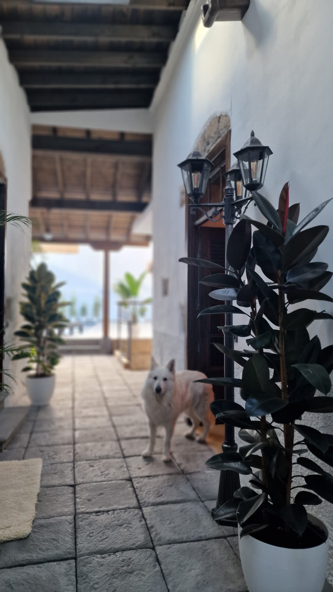 Retreat Space
