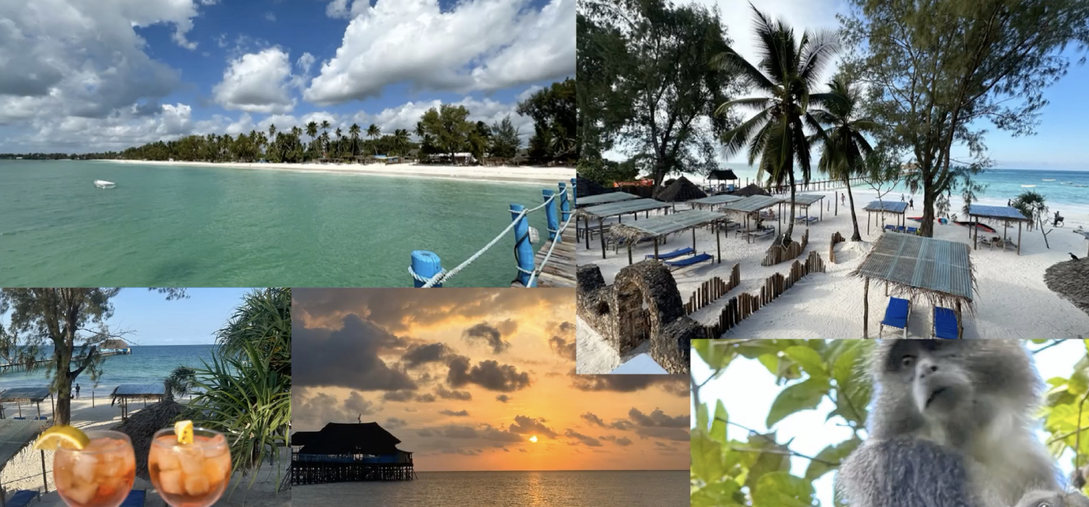 Dovolená na Zanzibaru
