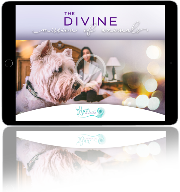 The Divine Mission of Animals; Animal Communication Training Audio & Study Guide