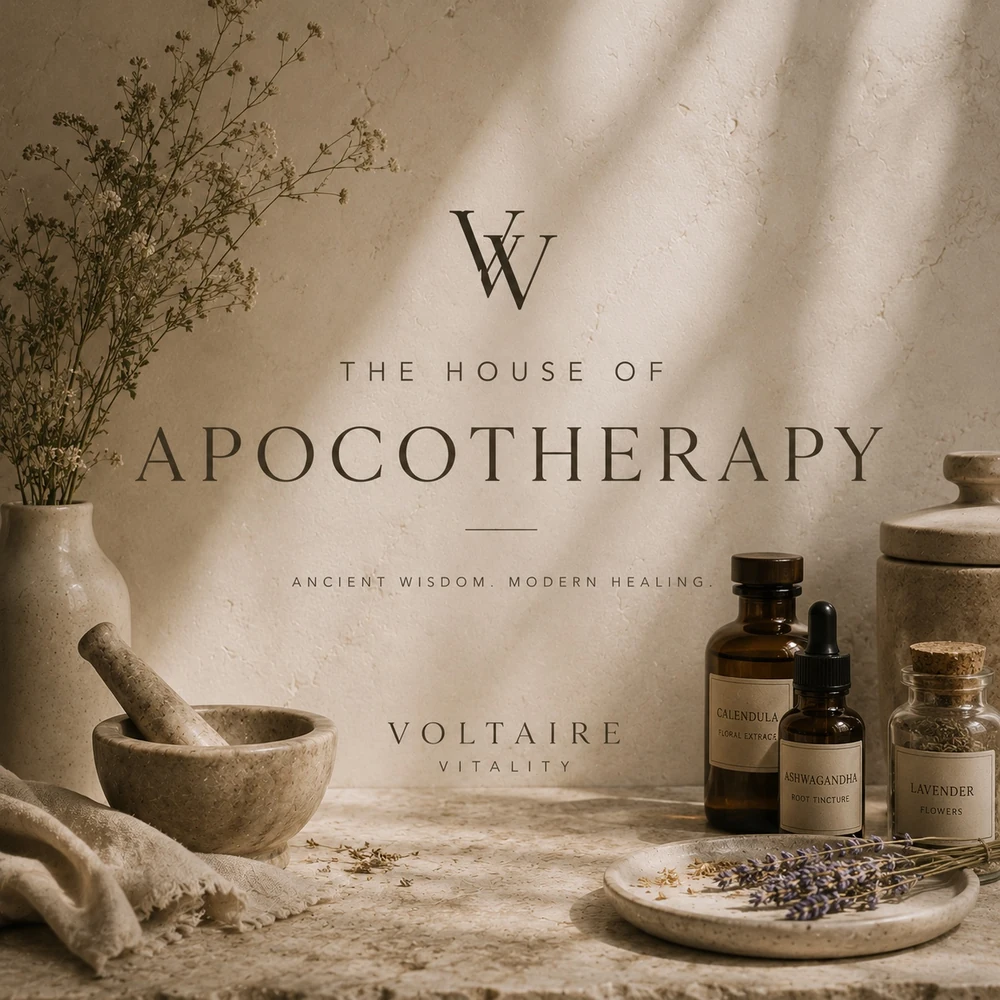 Voltaire House of Apocotherapy branded artwork.