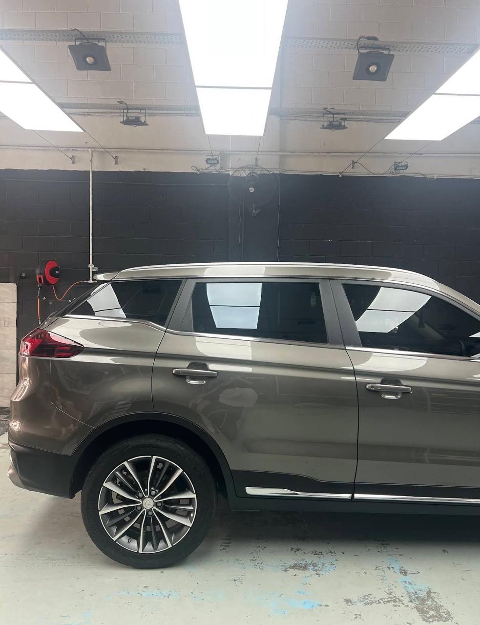 Michelle Chung Car Detailing 2