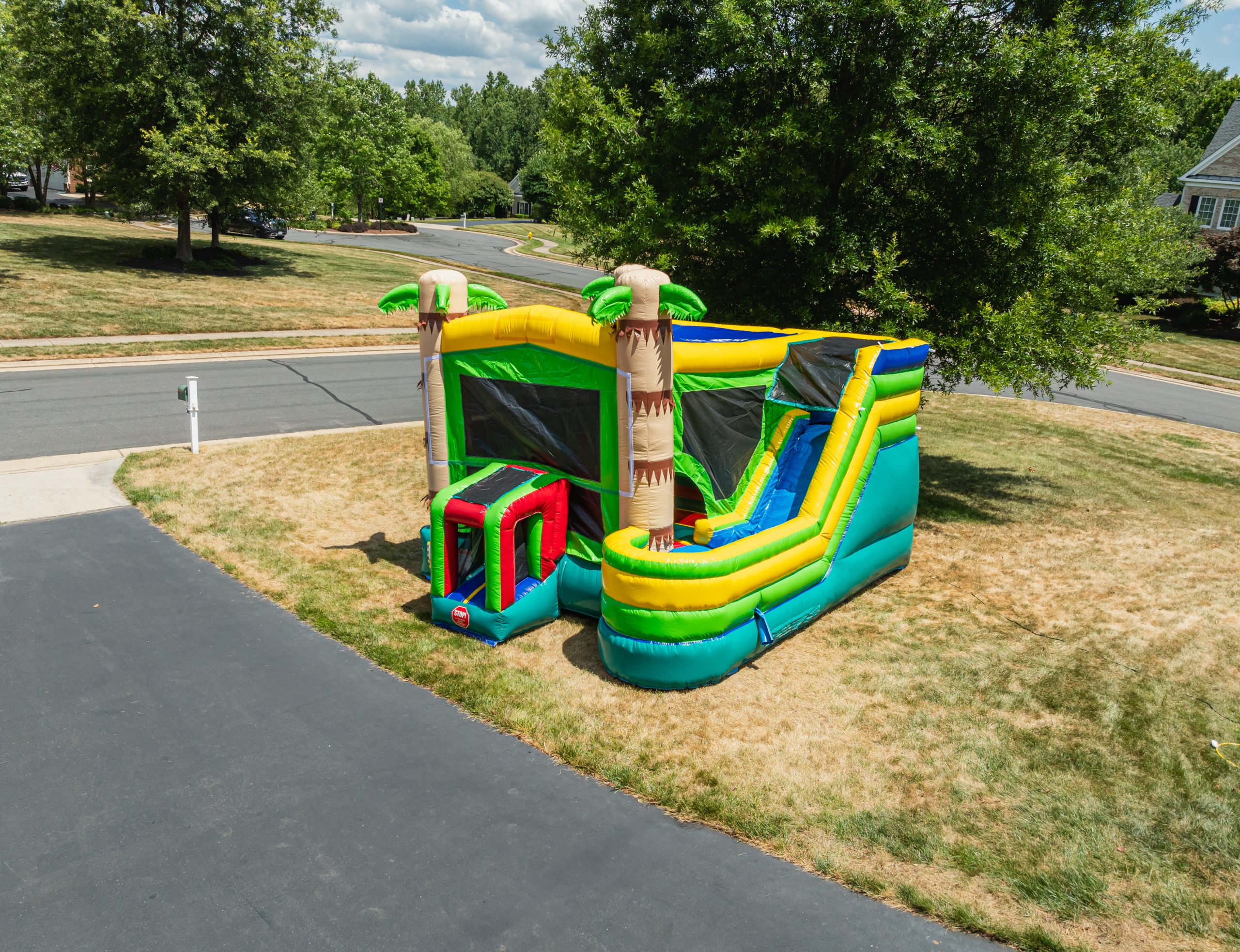 Palm Tree Bounce House