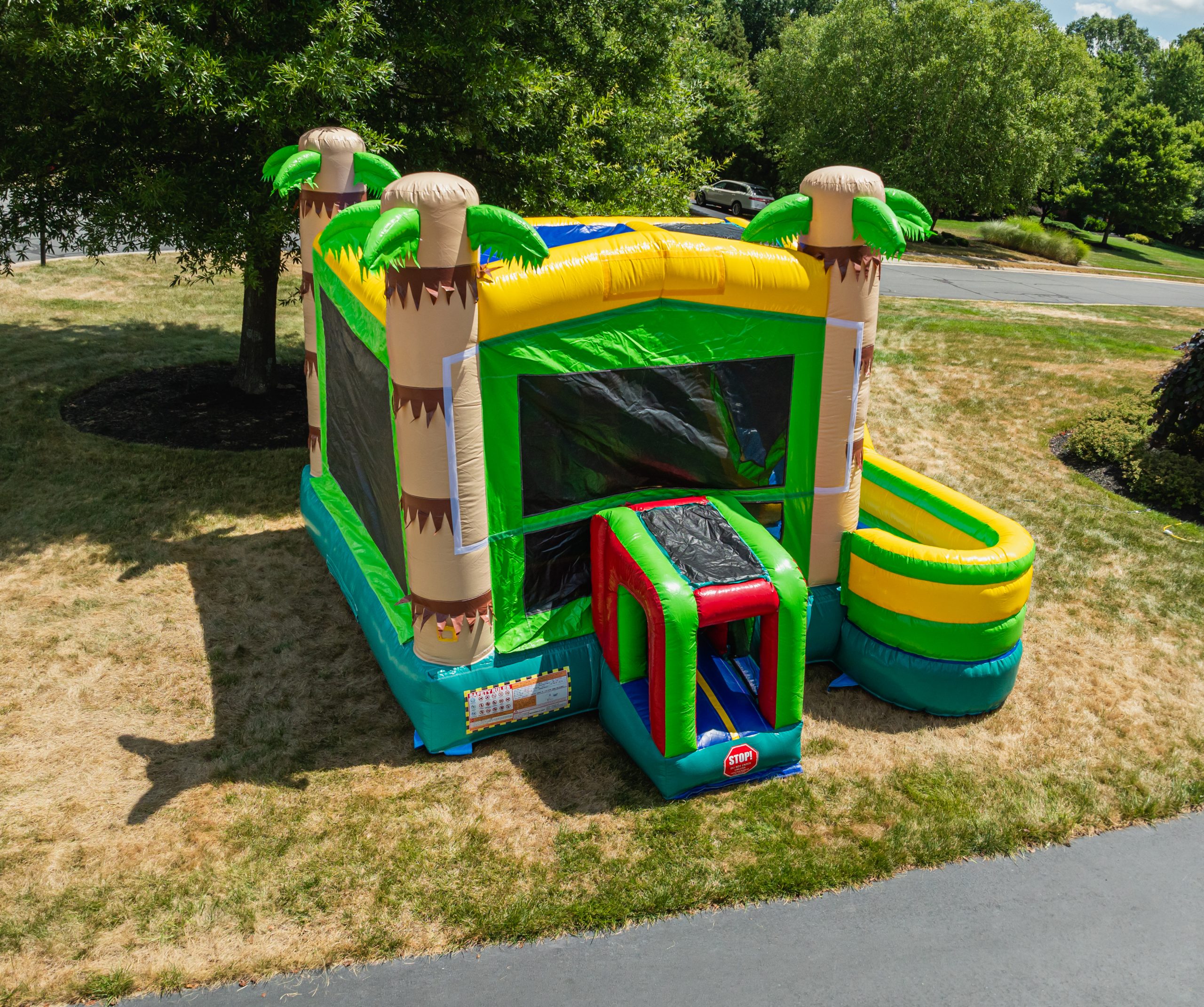 Palm Tree Bounce House photo 2