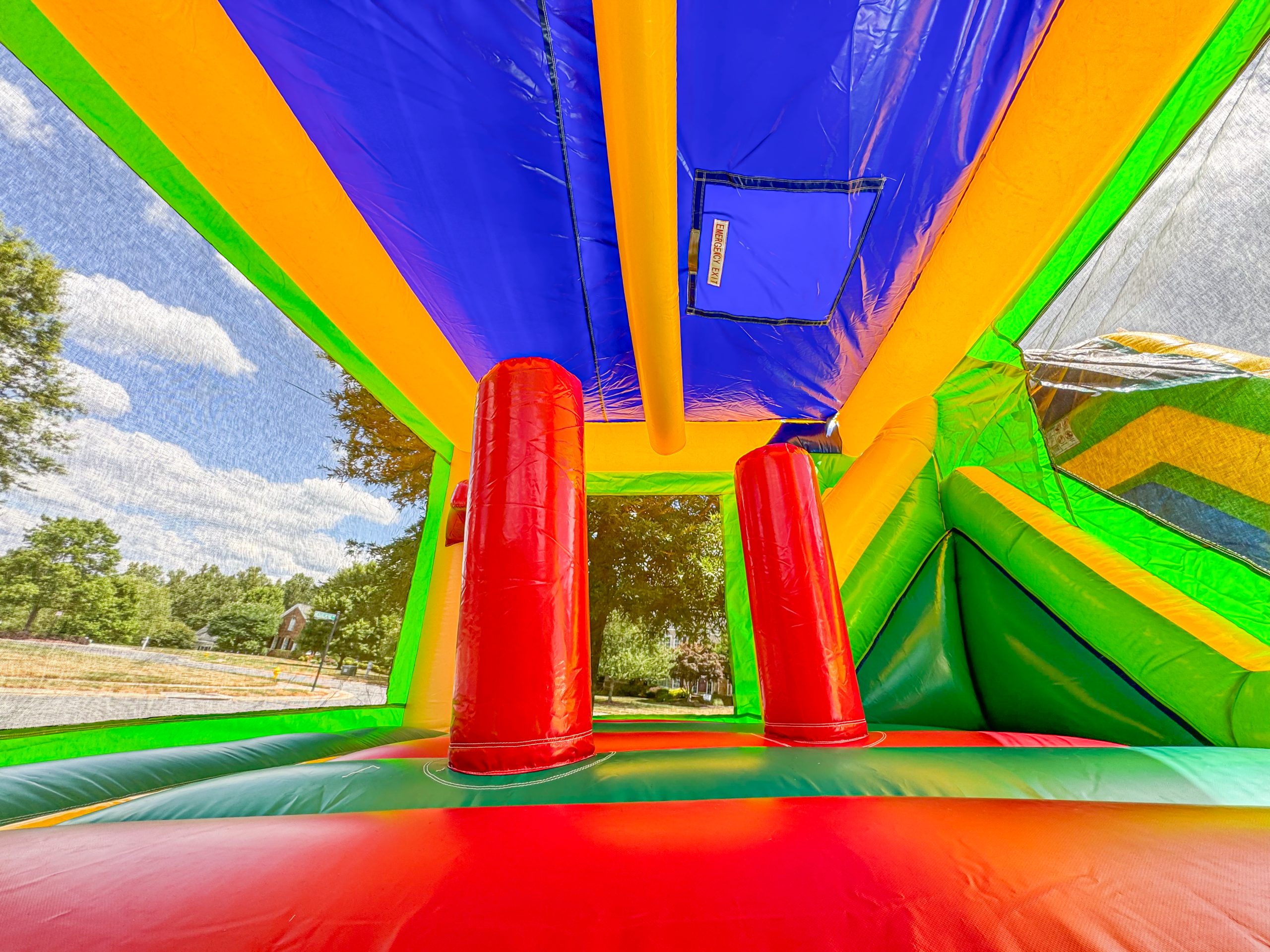 Palm Tree Bounce House photo 4