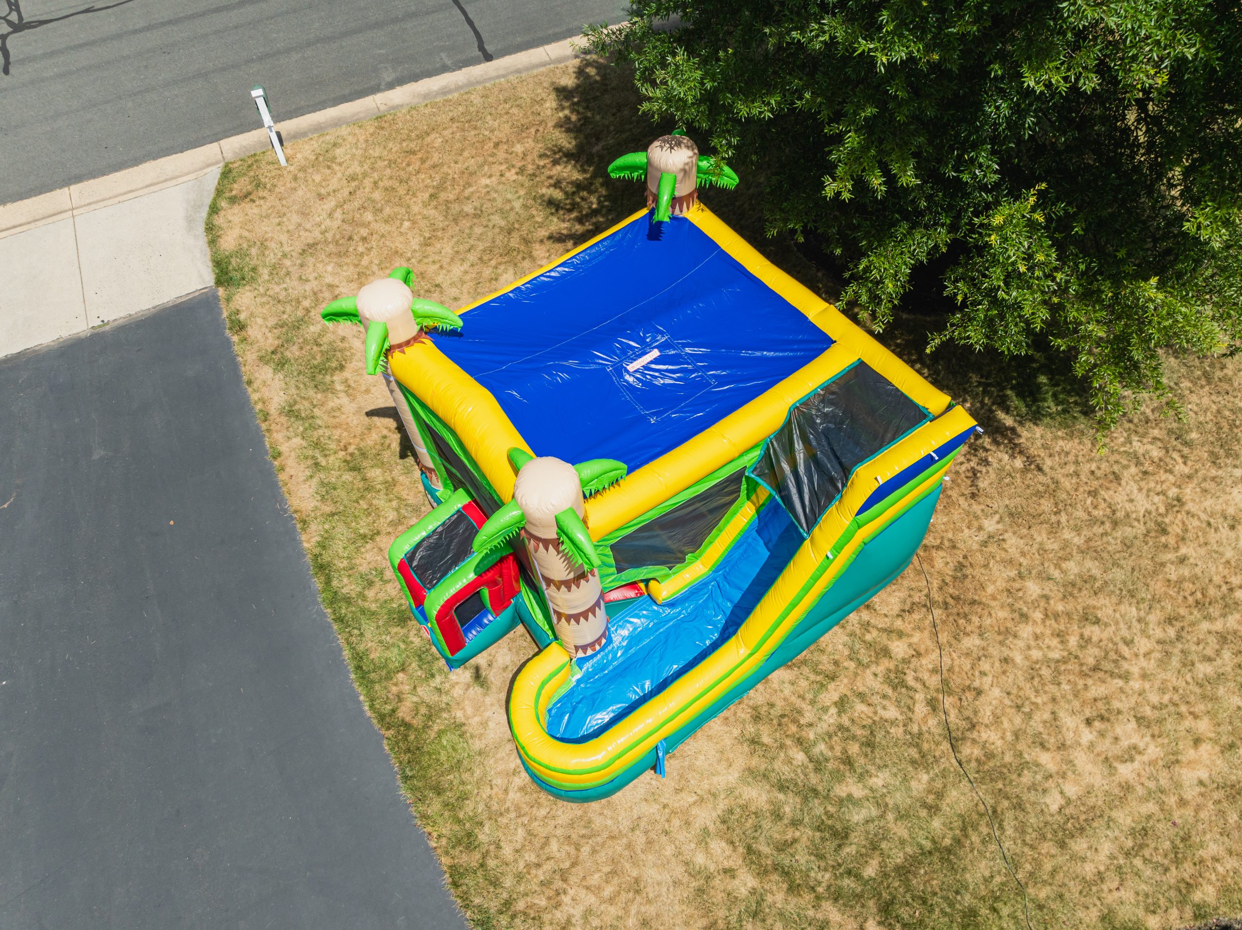 Palm Tree Bounce House photo 3