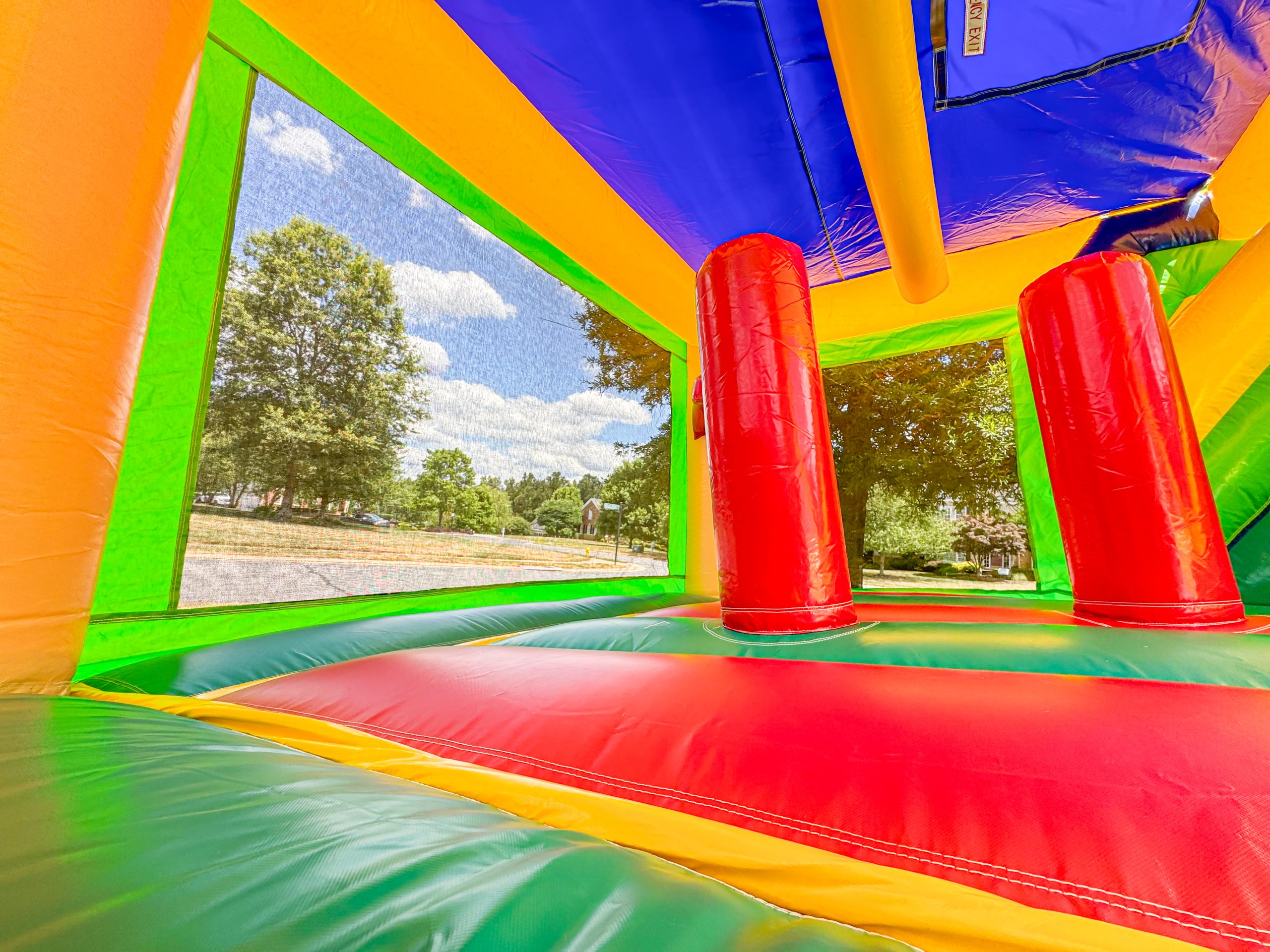 Palm Tree Bounce House photo 6