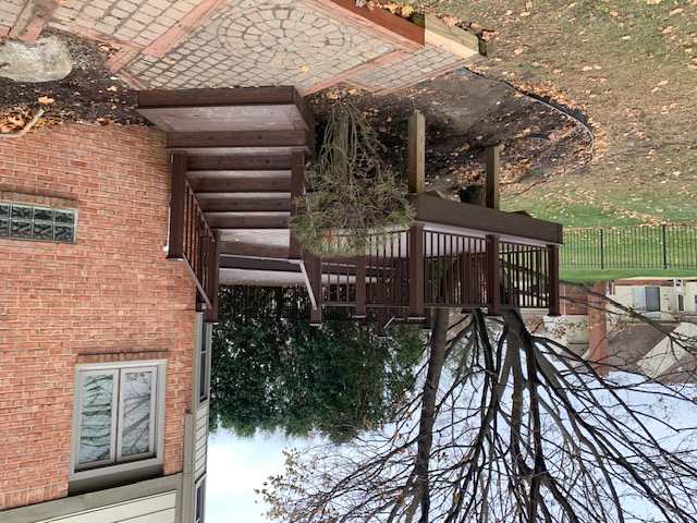 {{ custom_values.service_1 }} in {{custom_values.area_4})