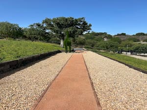 {{ custom_values.service_1 }} in {{custom_values.area_3})