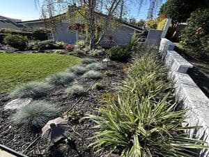 {{ custom_values.service_3 }} in {{custom_values.area_4})