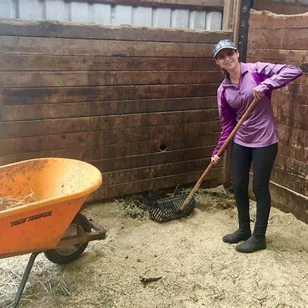 A volunteer in a purple shirt mucks out a stall with a rake beside an orange wheelbarrow