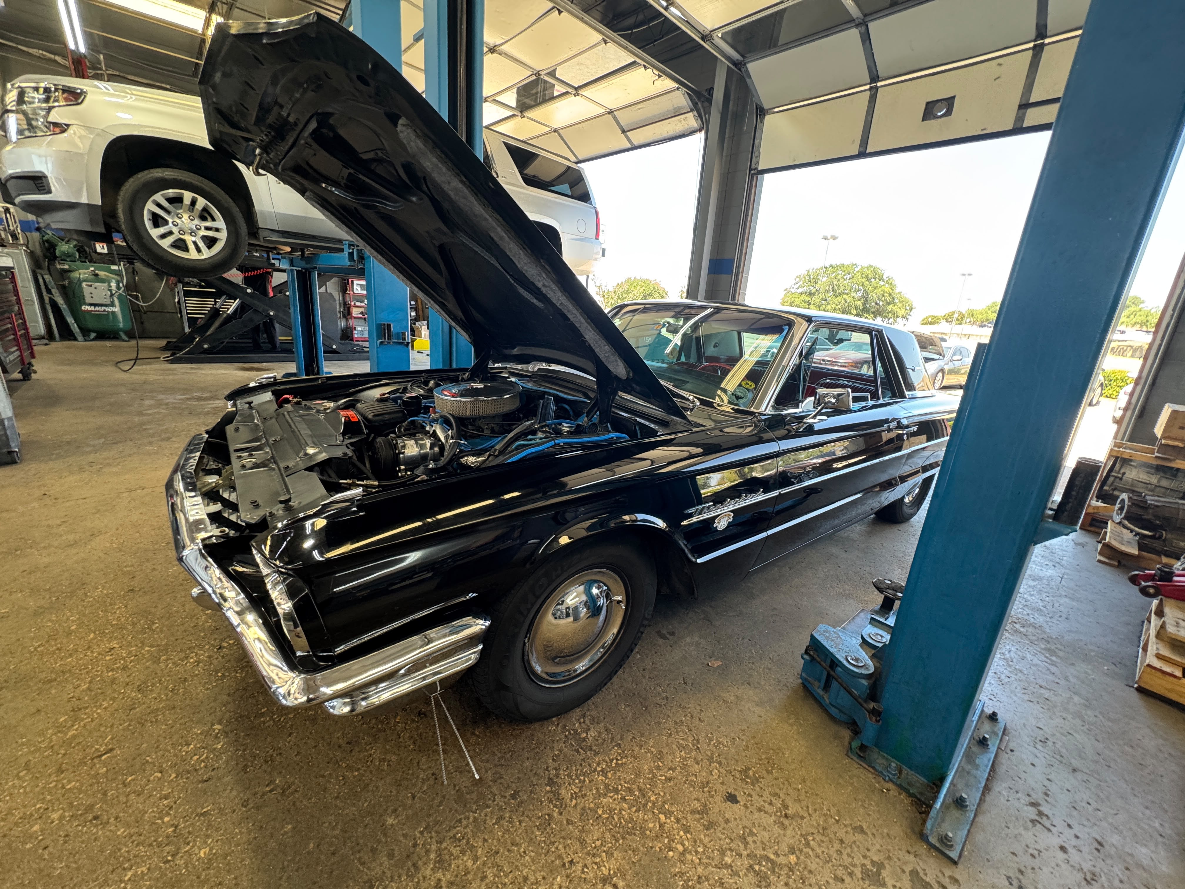 Town East Automotive shop view 10