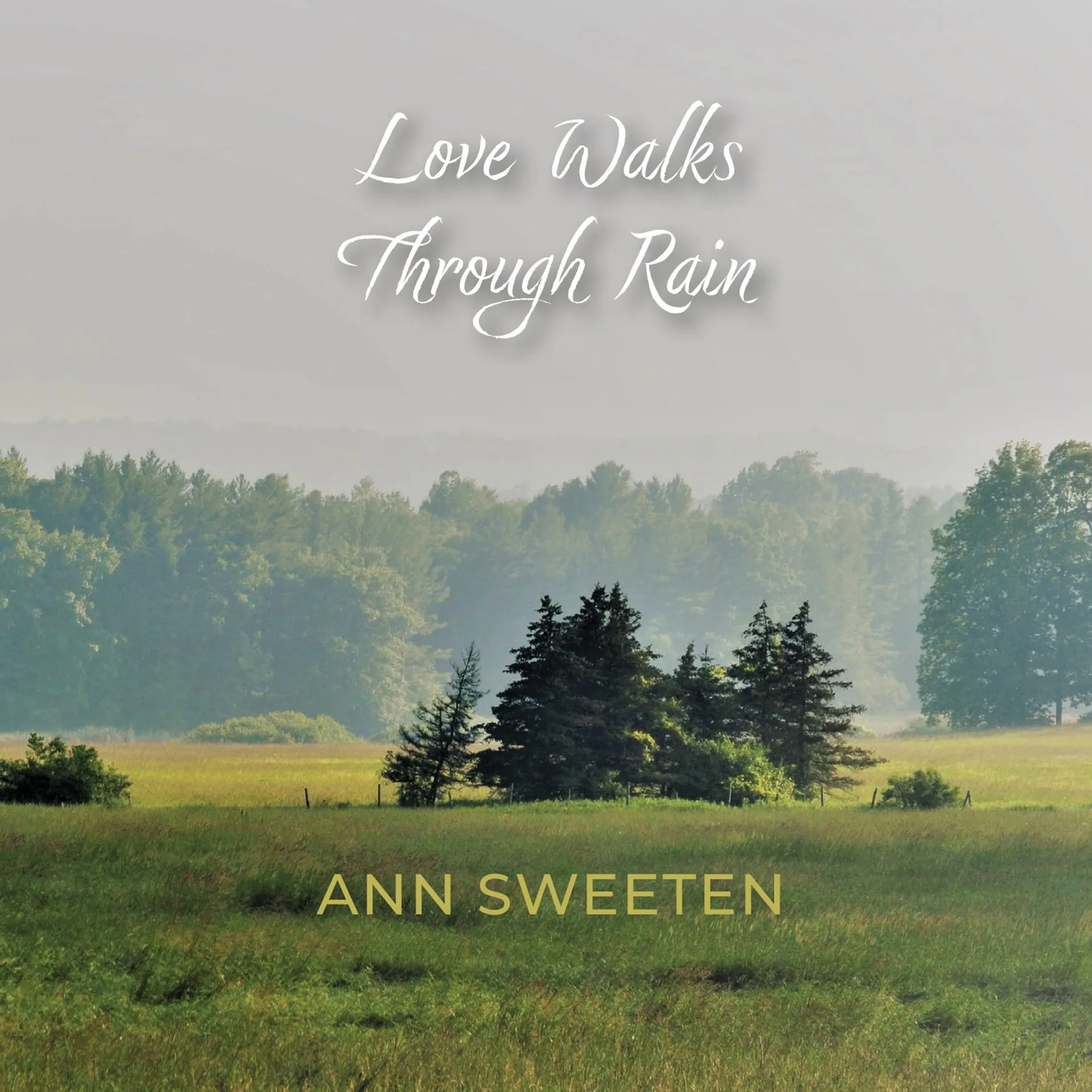https://lirp.cdn-website.com/3bc3cfca/dms3rep/multi/opt/Love+Walks+Through+Rain_Front+Cover-1920w.jpg https://lirp.cdn-website.com/3bc3cfca/dms3rep/multi/opt/Love+Walks+Through+Rain_Front+Cover-1920w.jpg