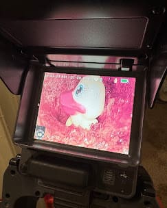 Drain Cleaning