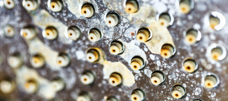 shower head build up