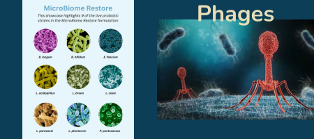 Probiotic Phages