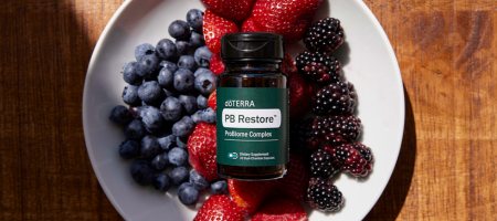 PB Restore