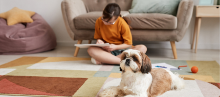 child and dog on living room floor