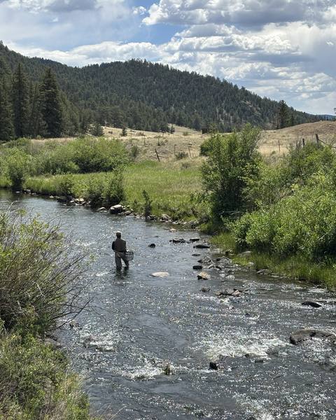 An angler standing in a river beneath wooded mountains.