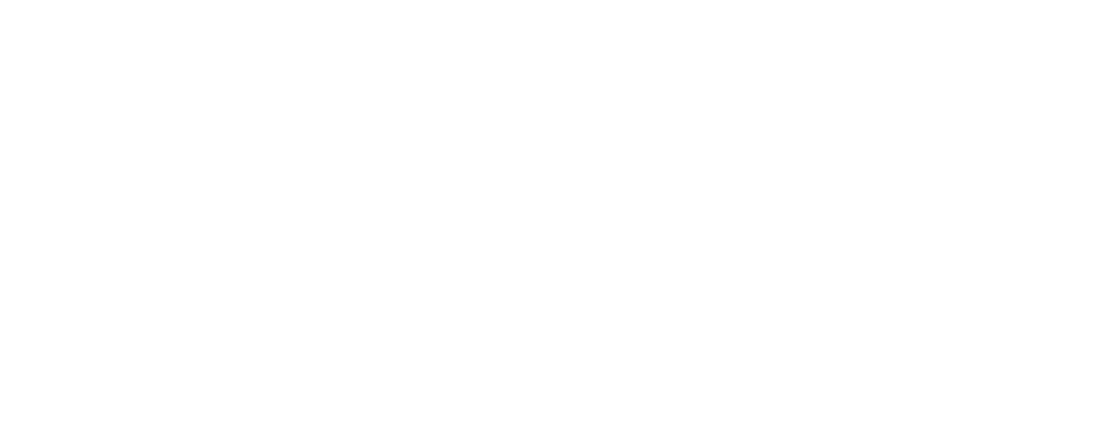 Stay Texas Brand Logo