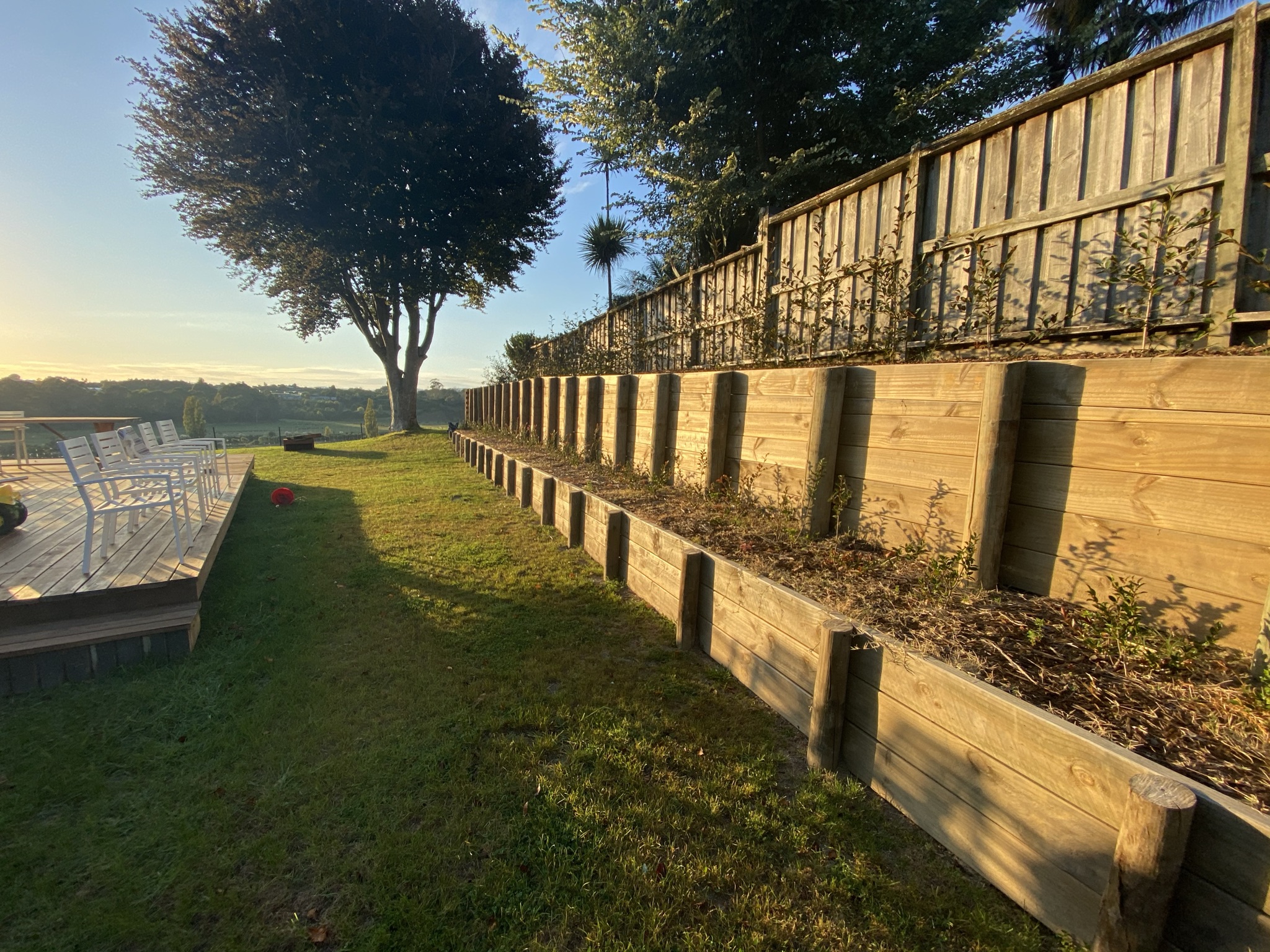 Fencing render Tauranga