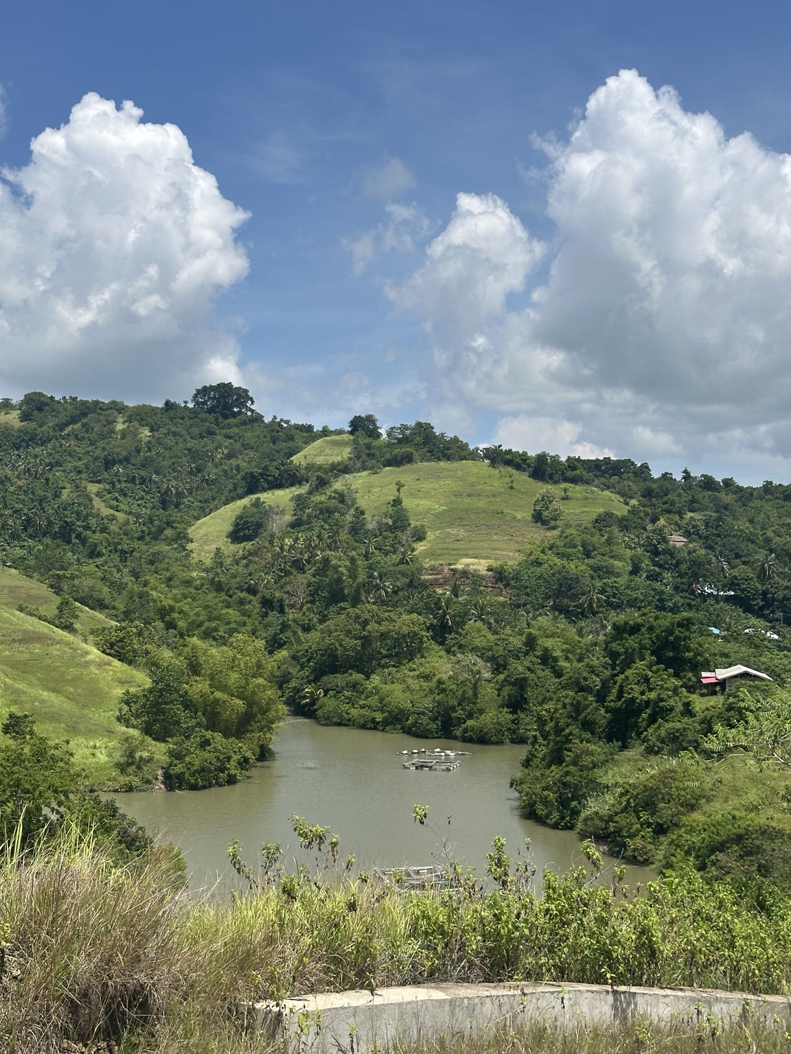 Yoga practice at Miranalla Farm in Bohol