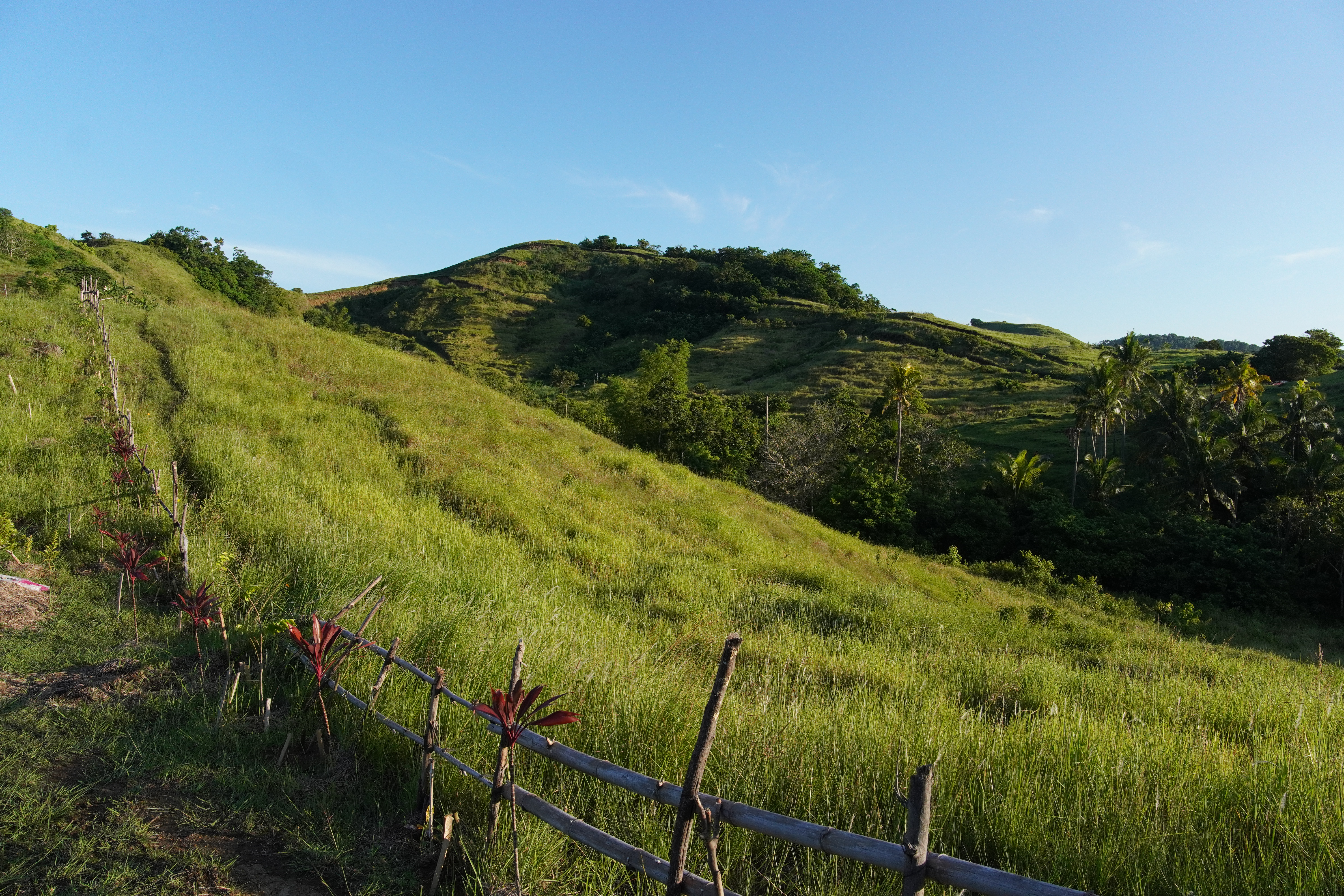 A scenic Bohol landscape surrounding the farm.