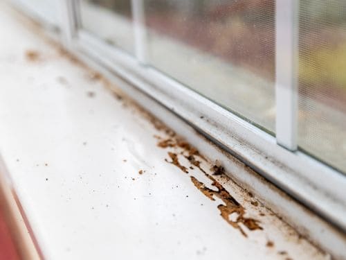Greenacre Pest Control