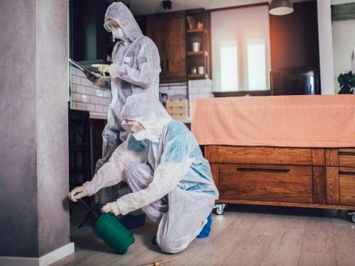 Pest Control