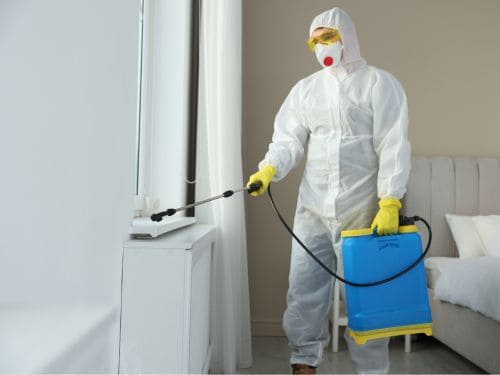 Pest Control