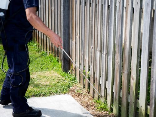 General Pest Control in Georges Hall