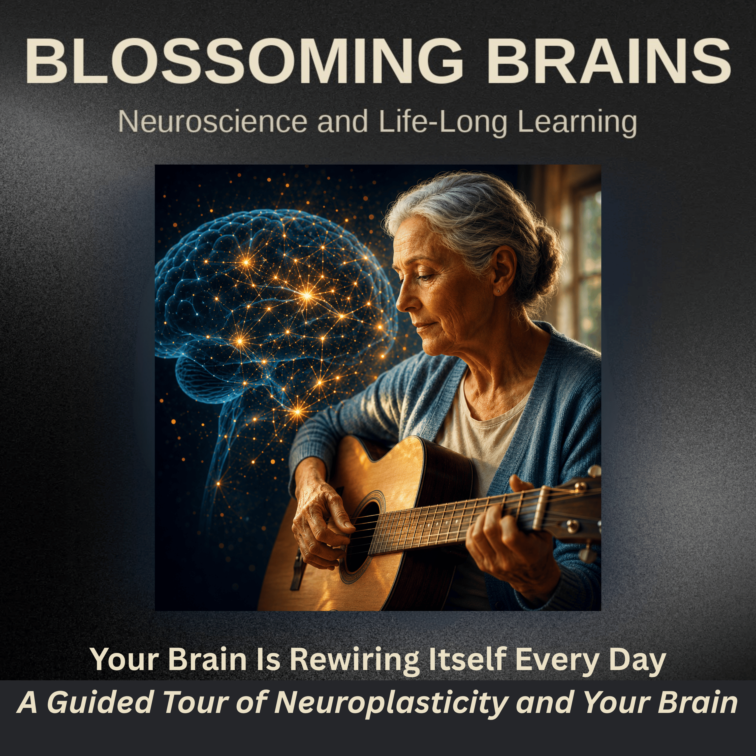 A Guided Tour of the Brain: Neuroplasticity, Memory, and How Your Mind Adapts