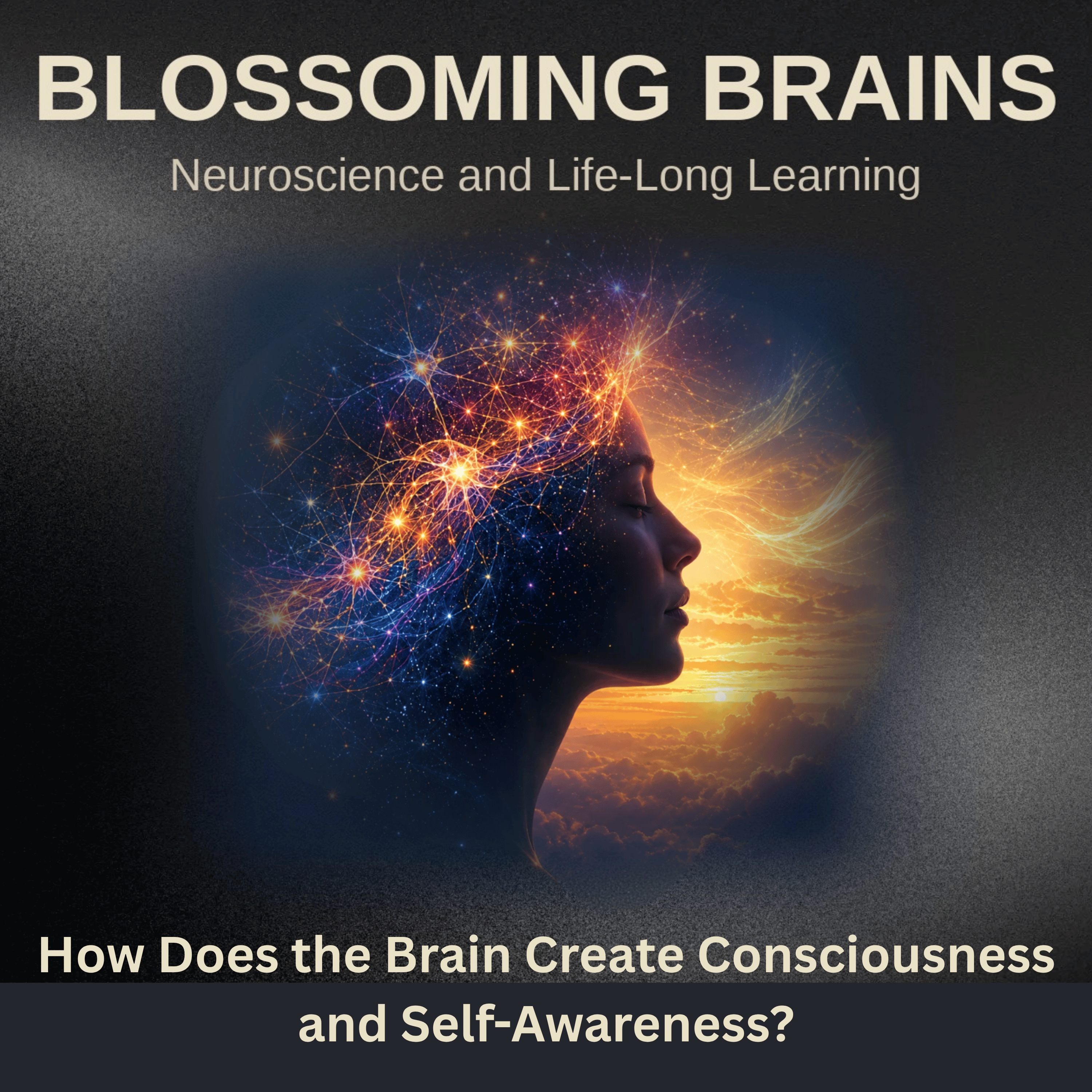 How Does the Brain Create Consciousness and Self Awareness