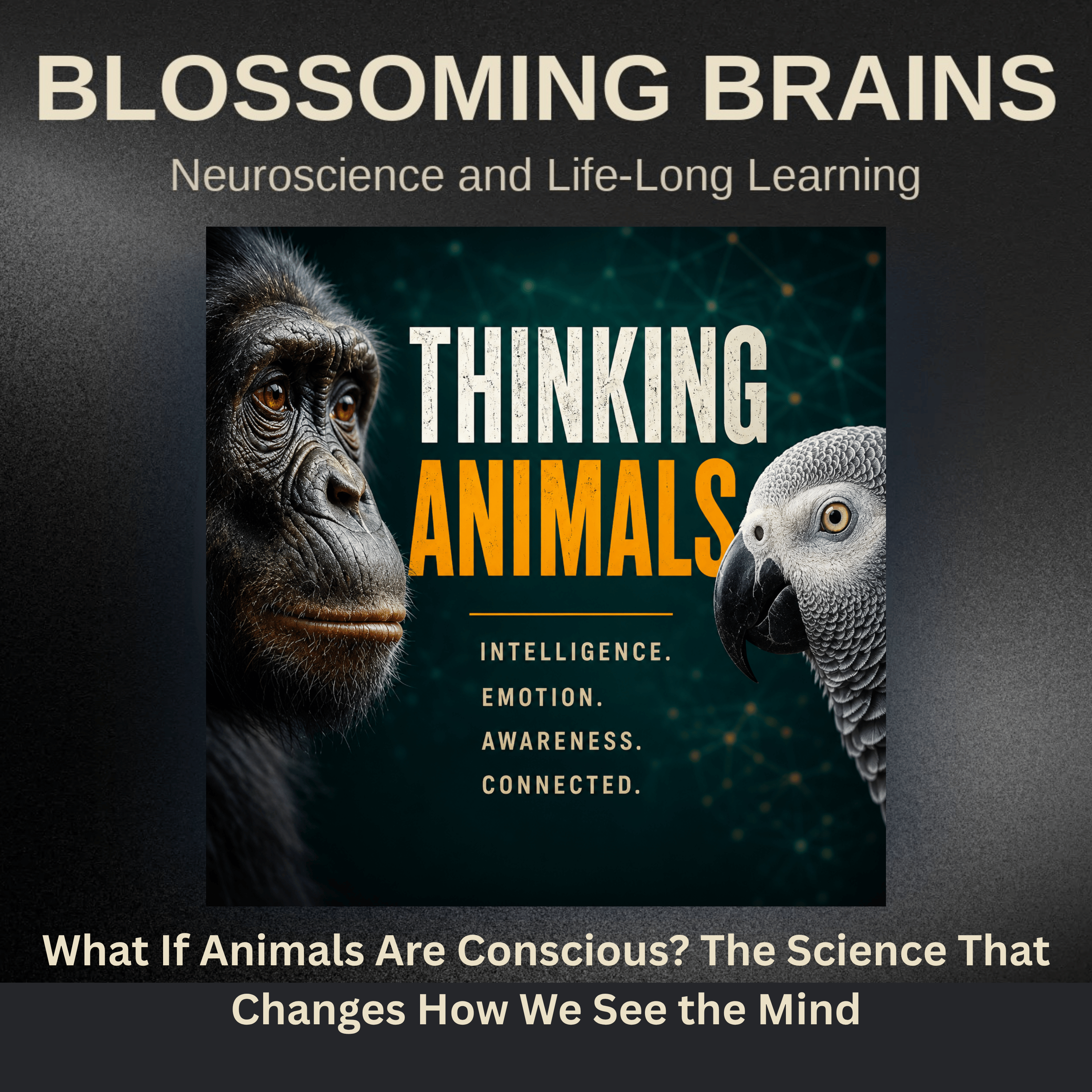 Animal Consciousness and Self Awareness