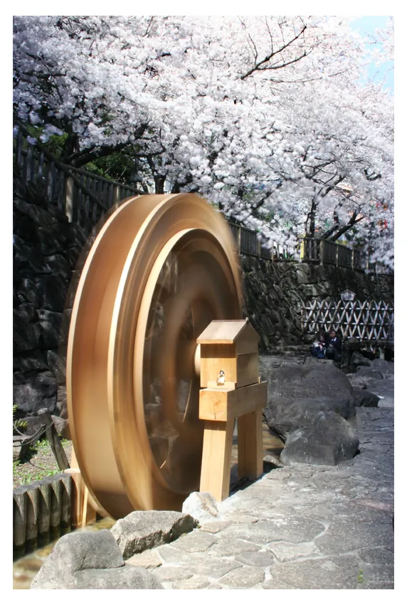 Fotografie de Dr. Konrád: Sakura and waterwheel