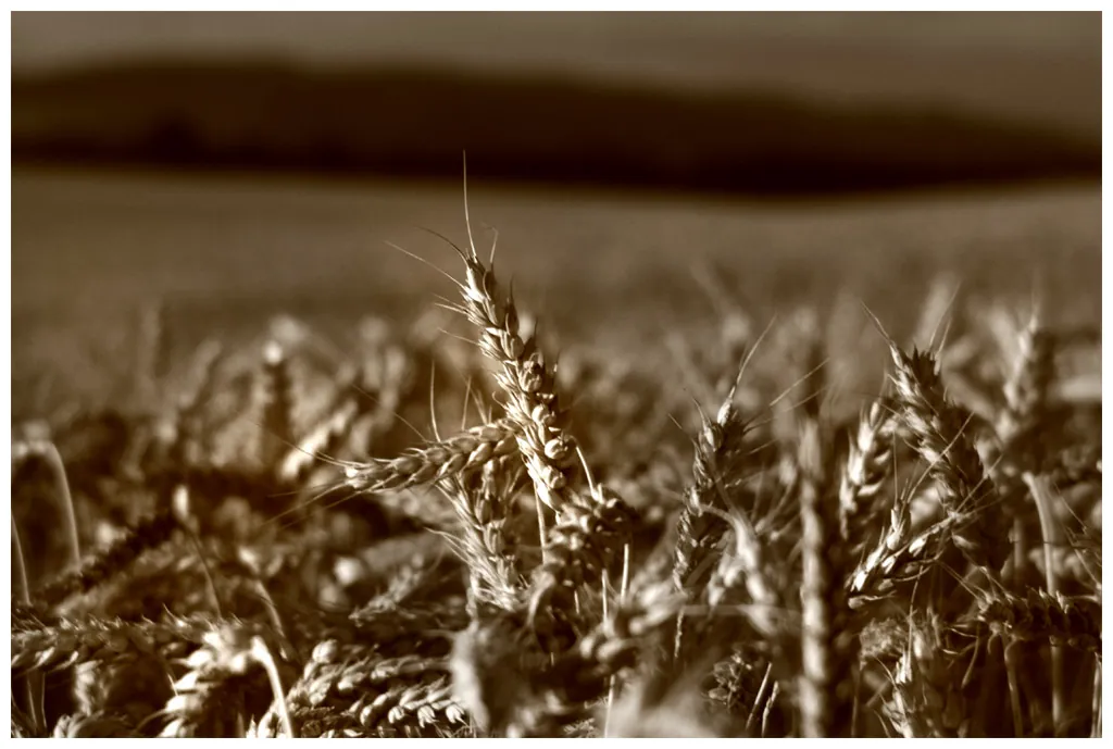 Fotografie de Dr. Konrád: Untitled 3
