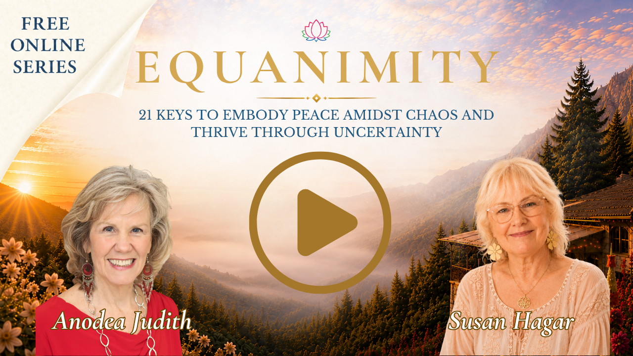 Equanimity VIP Interview Library