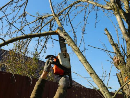 Guilford County, NC Tree/Stump Removal